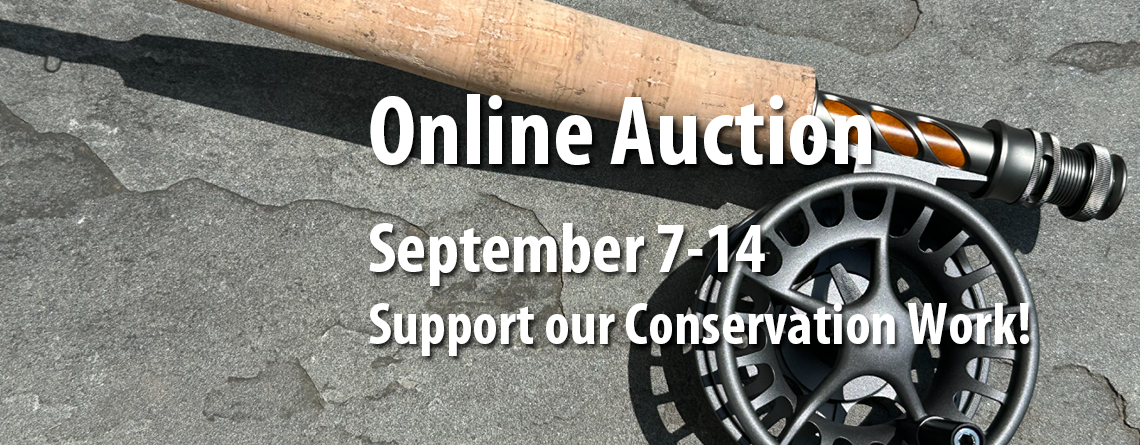 Summer Slam Online Auction September 7-14